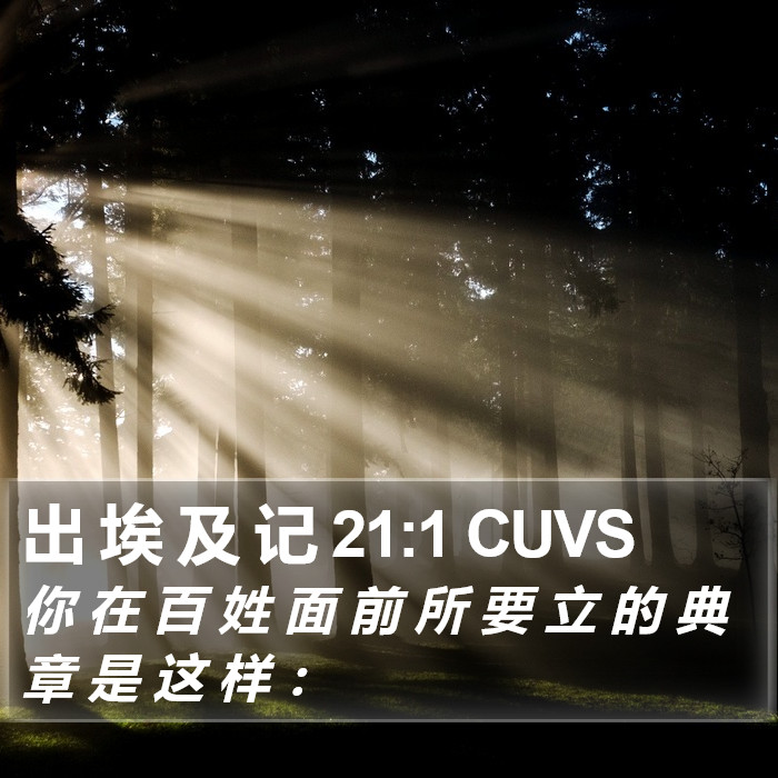 出 埃 及 记 21:1 CUVS Bible Study