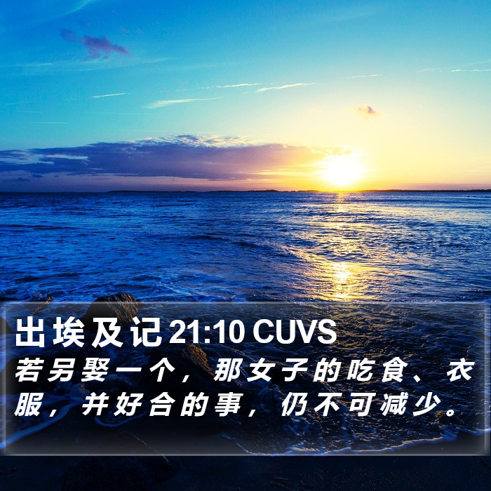 出 埃 及 记 21:10 CUVS Bible Study