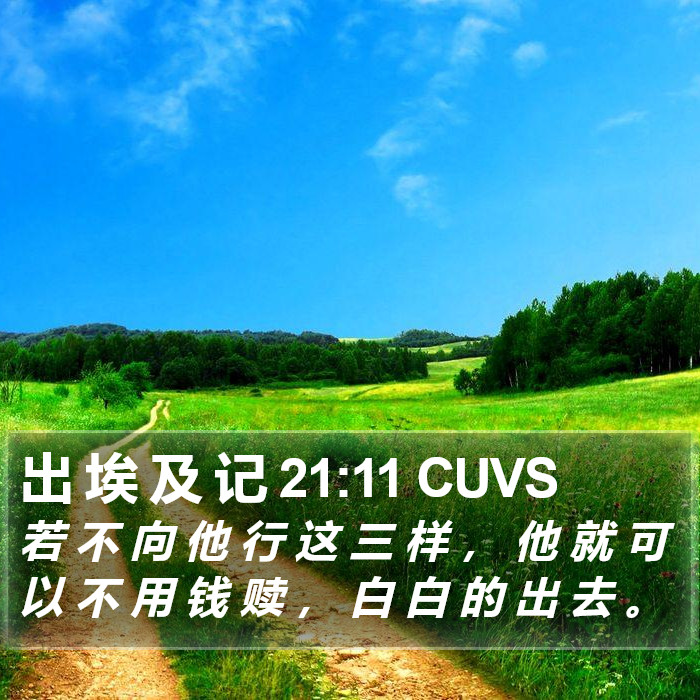 出 埃 及 记 21:11 CUVS Bible Study