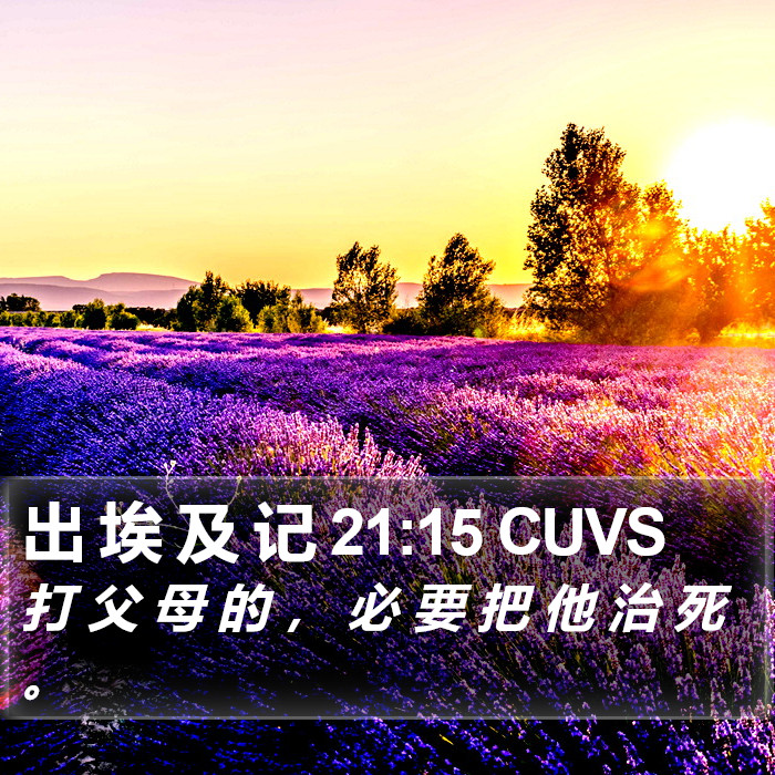 出 埃 及 记 21:15 CUVS Bible Study