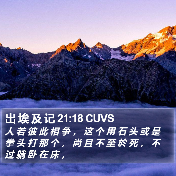 出 埃 及 记 21:18 CUVS Bible Study