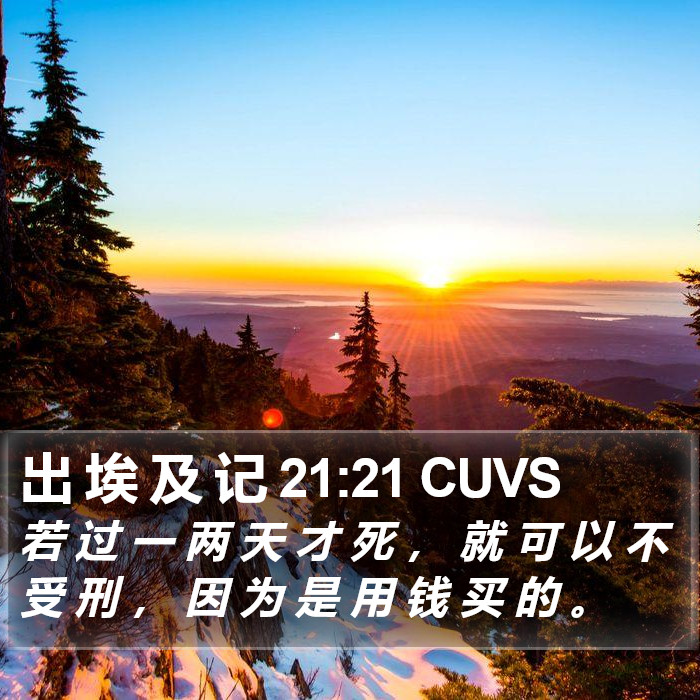 出 埃 及 记 21:21 CUVS Bible Study