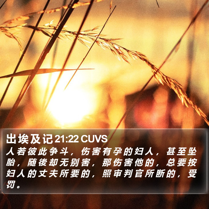 出 埃 及 记 21:22 CUVS Bible Study