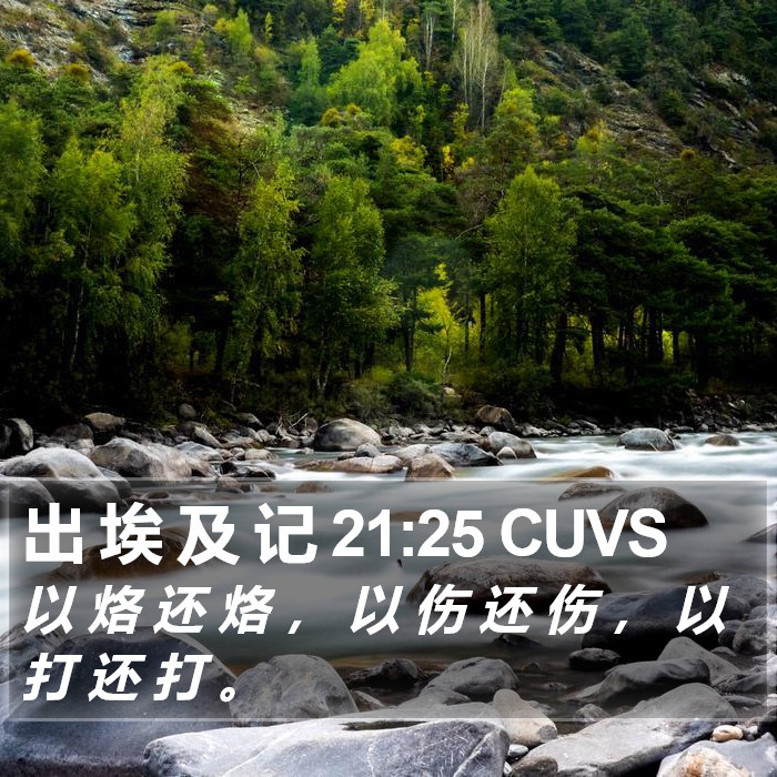 出 埃 及 记 21:25 CUVS Bible Study