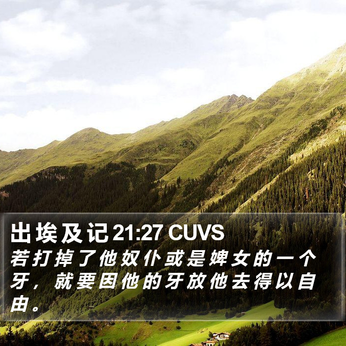 出 埃 及 记 21:27 CUVS Bible Study