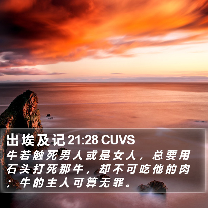 出 埃 及 记 21:28 CUVS Bible Study