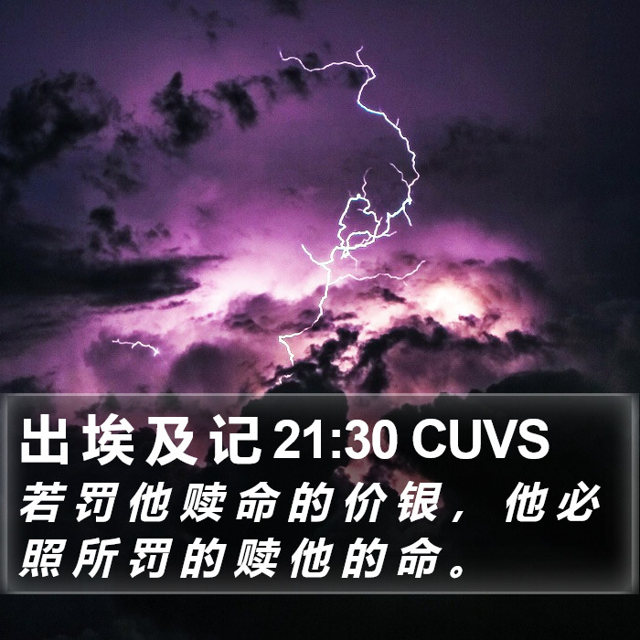 出 埃 及 记 21:30 CUVS Bible Study