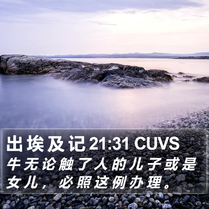 出 埃 及 记 21:31 CUVS Bible Study