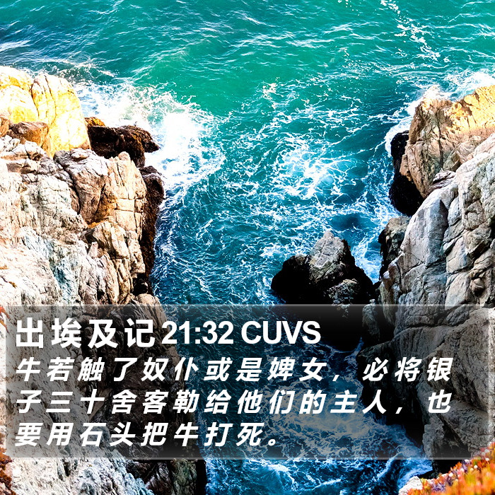 出 埃 及 记 21:32 CUVS Bible Study