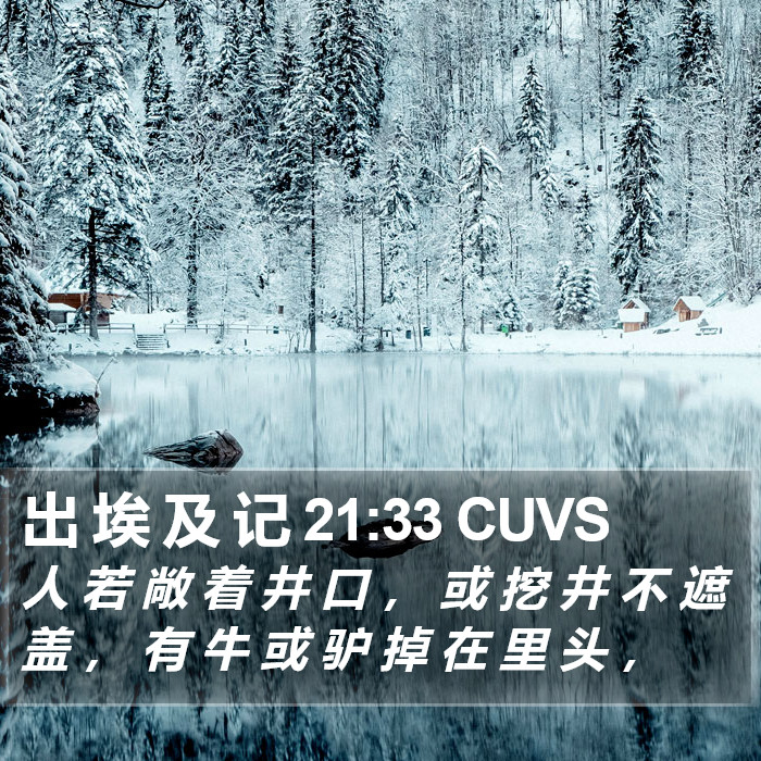 出 埃 及 记 21:33 CUVS Bible Study