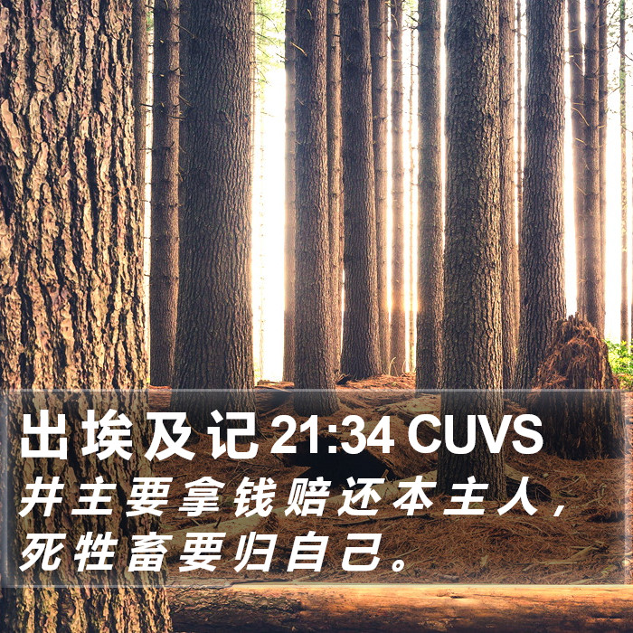 出 埃 及 记 21:34 CUVS Bible Study