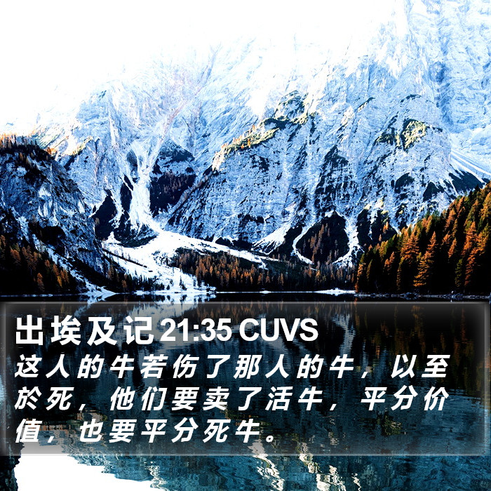 出 埃 及 记 21:35 CUVS Bible Study