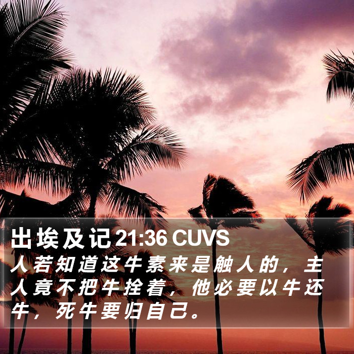 出 埃 及 记 21:36 CUVS Bible Study