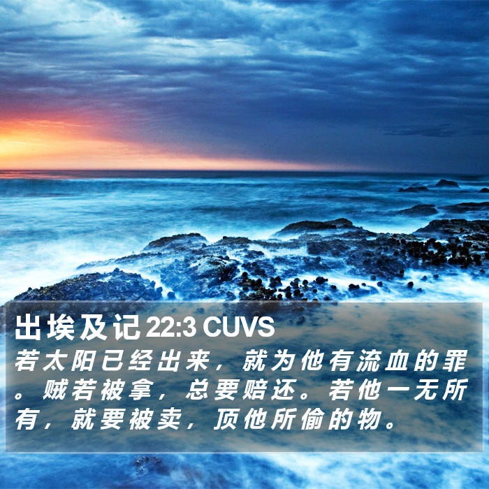 出 埃 及 记 22:3 CUVS Bible Study