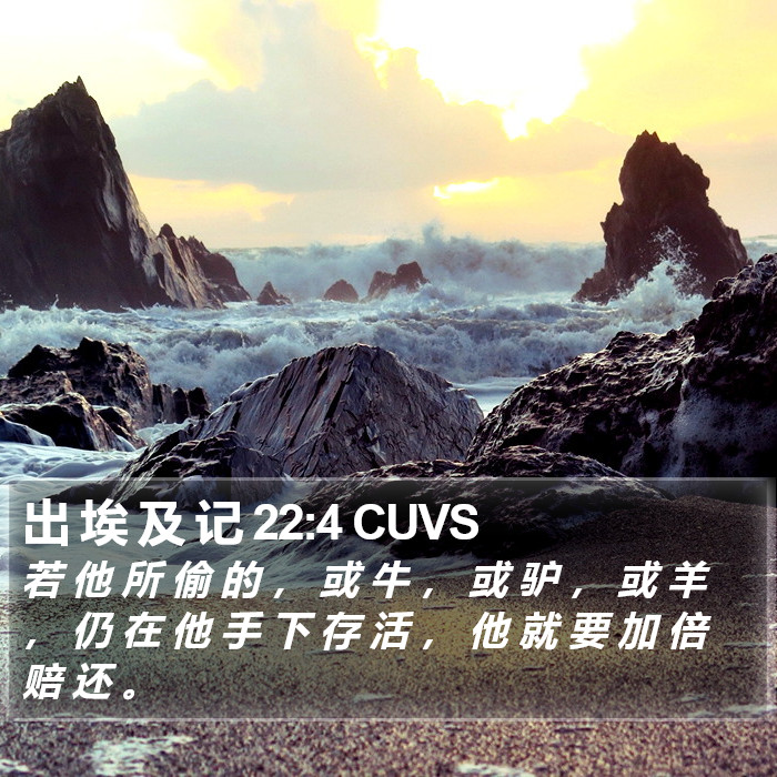 出 埃 及 记 22:4 CUVS Bible Study