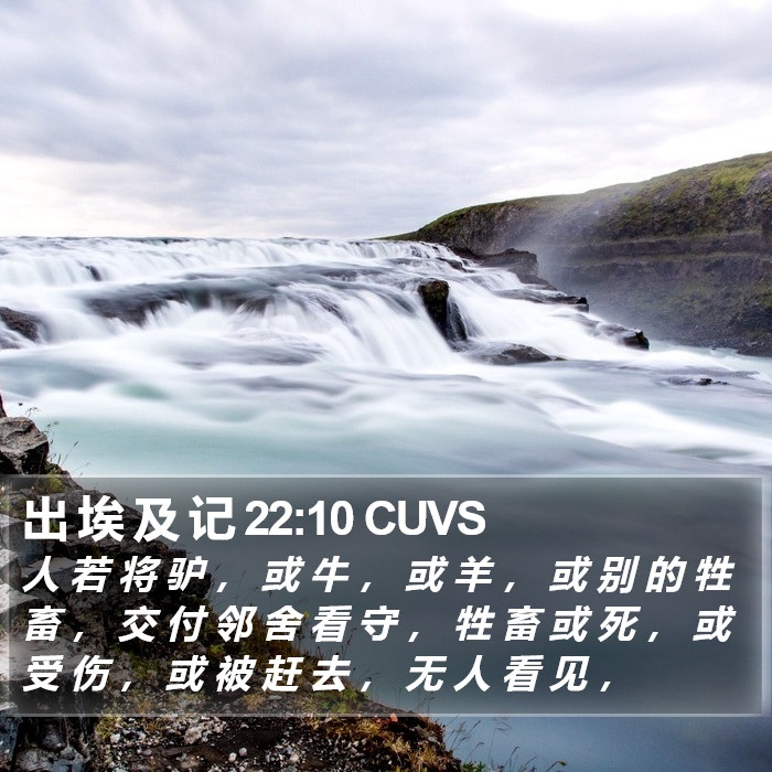 出 埃 及 记 22:10 CUVS Bible Study