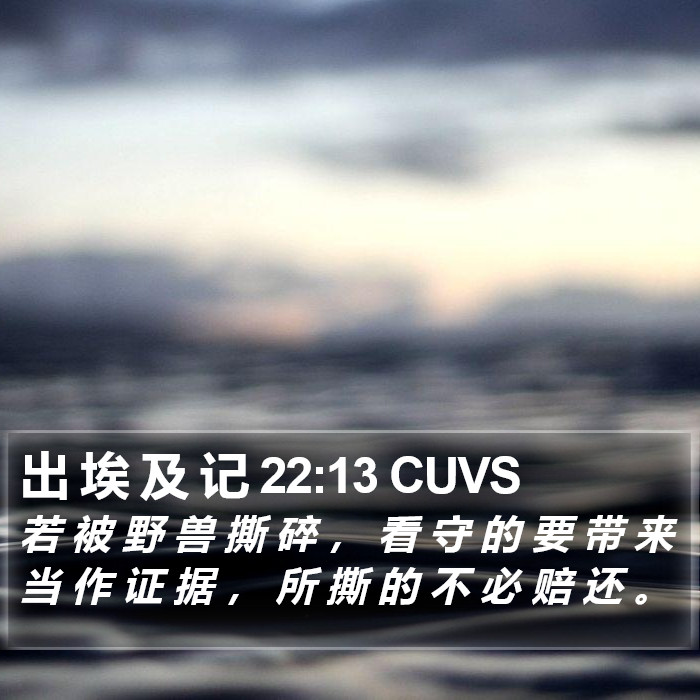 出 埃 及 记 22:13 CUVS Bible Study