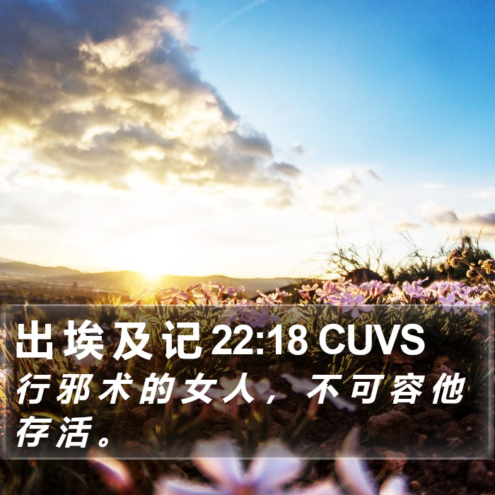 出 埃 及 记 22:18 CUVS Bible Study