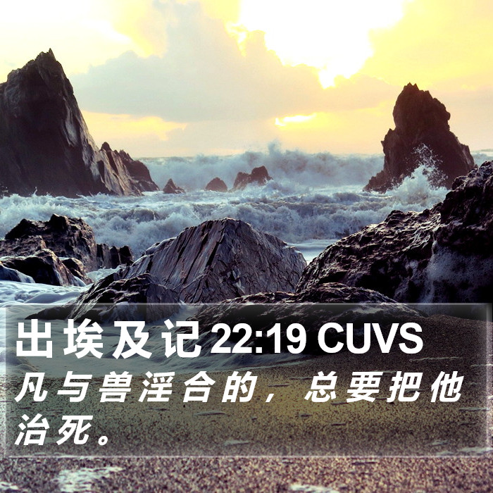 出 埃 及 记 22:19 CUVS Bible Study