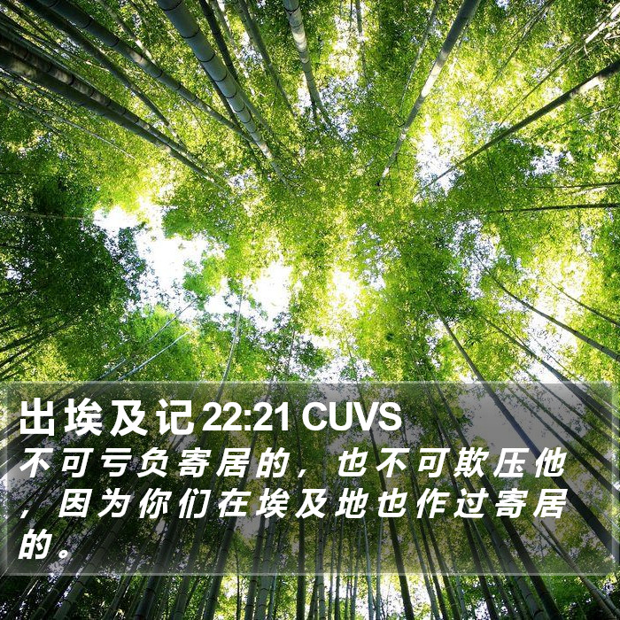 出 埃 及 记 22:21 CUVS Bible Study