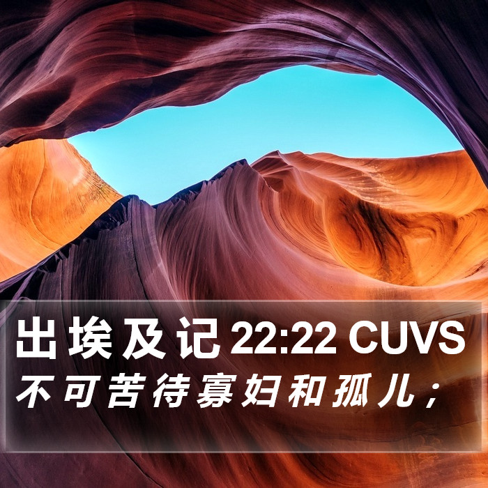 出 埃 及 记 22:22 CUVS Bible Study