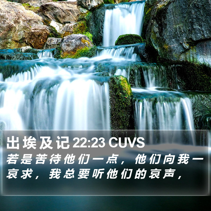 出 埃 及 记 22:23 CUVS Bible Study