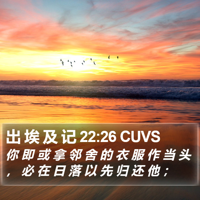 出 埃 及 记 22:26 CUVS Bible Study