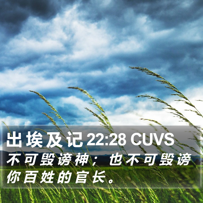 出 埃 及 记 22:28 CUVS Bible Study