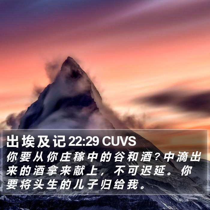 出 埃 及 记 22:29 CUVS Bible Study