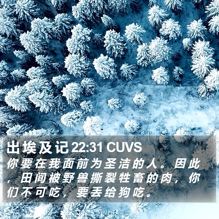 出 埃 及 记 22:31 CUVS Bible Study