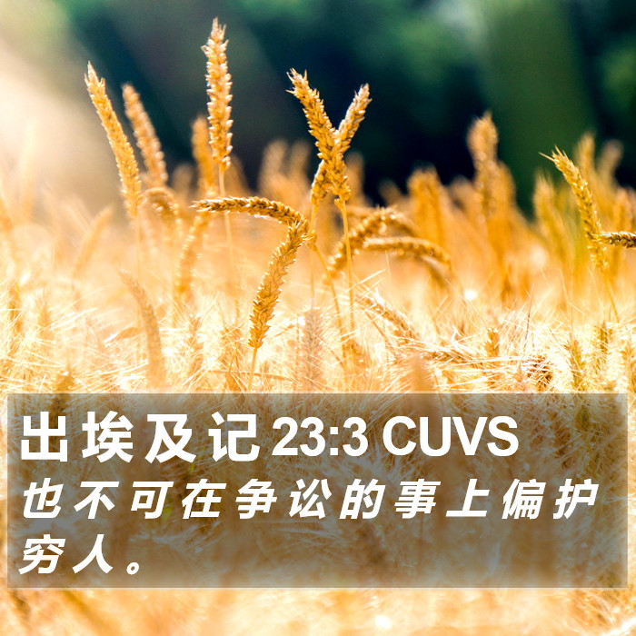 出 埃 及 记 23:3 CUVS Bible Study