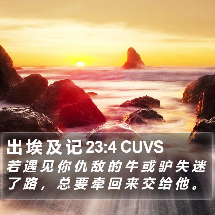 出 埃 及 记 23:4 CUVS Bible Study