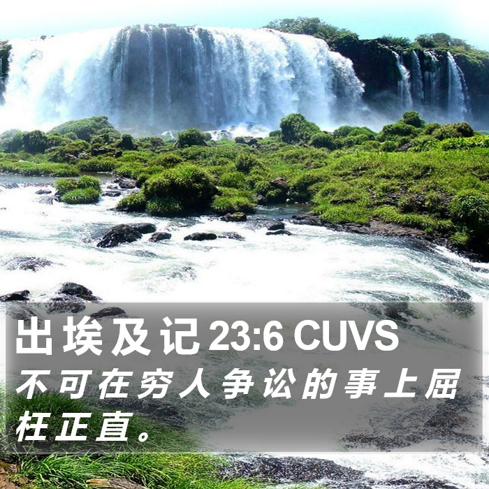 出 埃 及 记 23:6 CUVS Bible Study