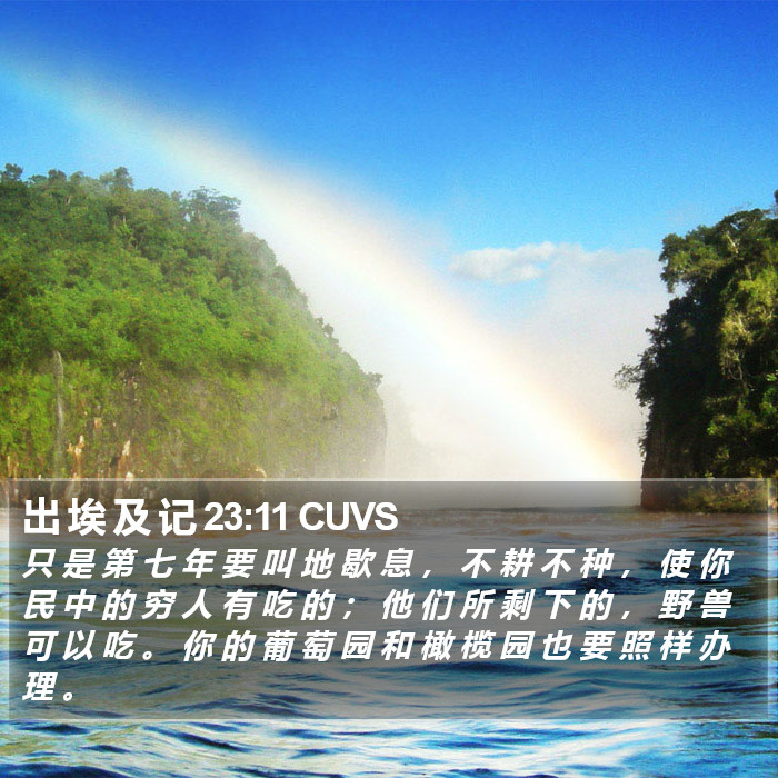 出 埃 及 记 23:11 CUVS Bible Study