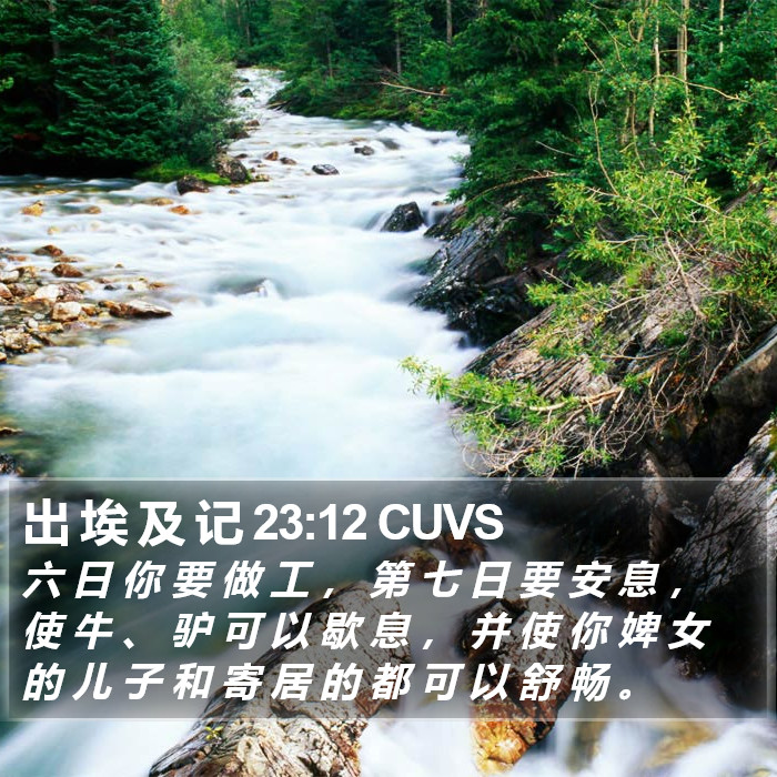 出 埃 及 记 23:12 CUVS Bible Study