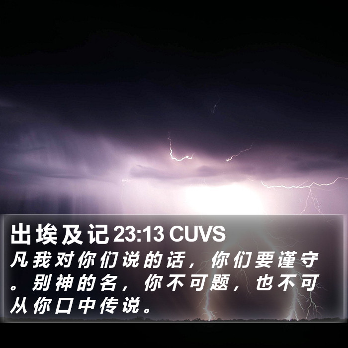 出 埃 及 记 23:13 CUVS Bible Study