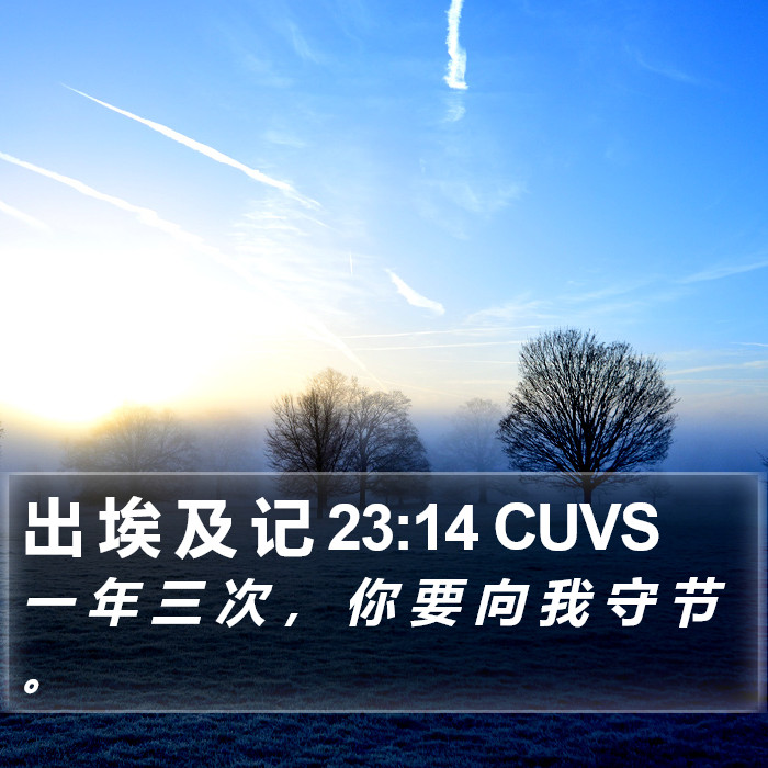 出 埃 及 记 23:14 CUVS Bible Study