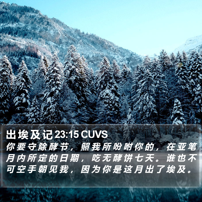 出 埃 及 记 23:15 CUVS Bible Study