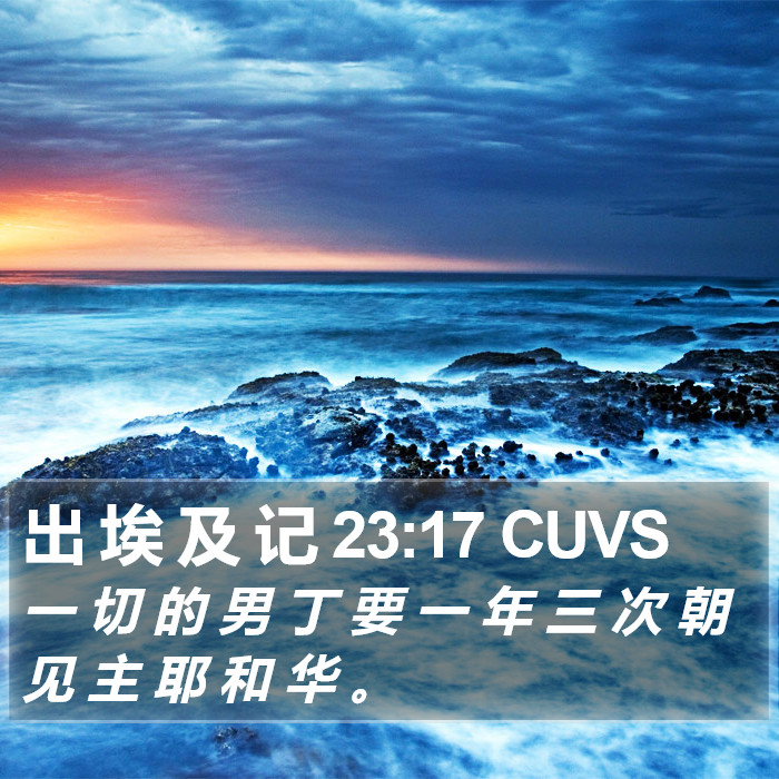 出 埃 及 记 23:17 CUVS Bible Study