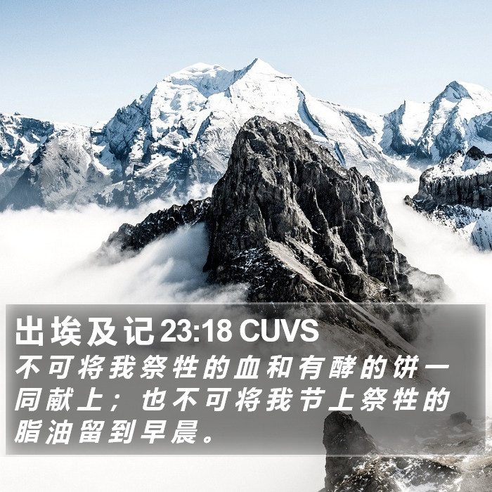 出 埃 及 记 23:18 CUVS Bible Study