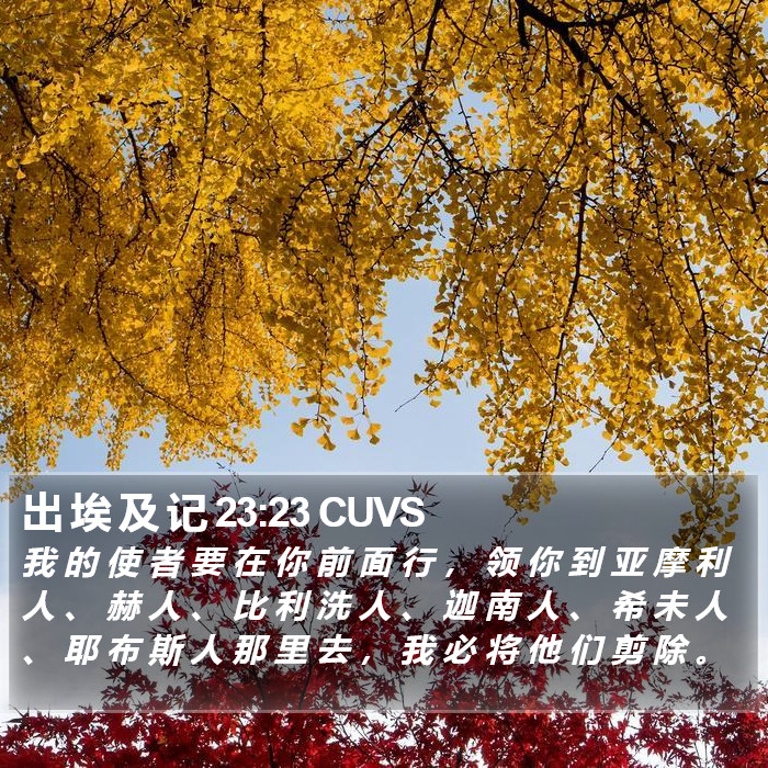 出 埃 及 记 23:23 CUVS Bible Study