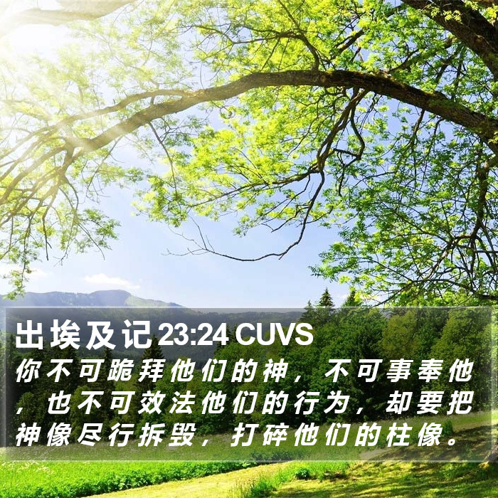 出 埃 及 记 23:24 CUVS Bible Study