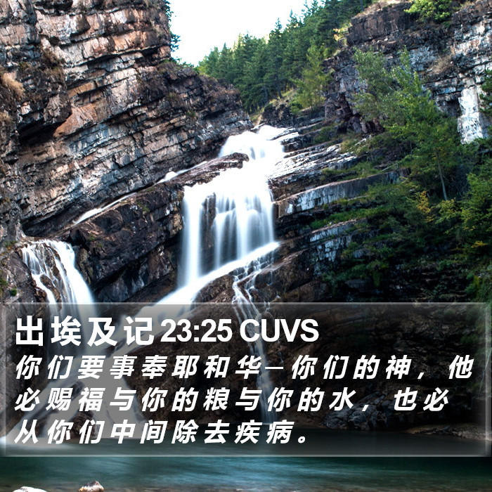 出 埃 及 记 23:25 CUVS Bible Study