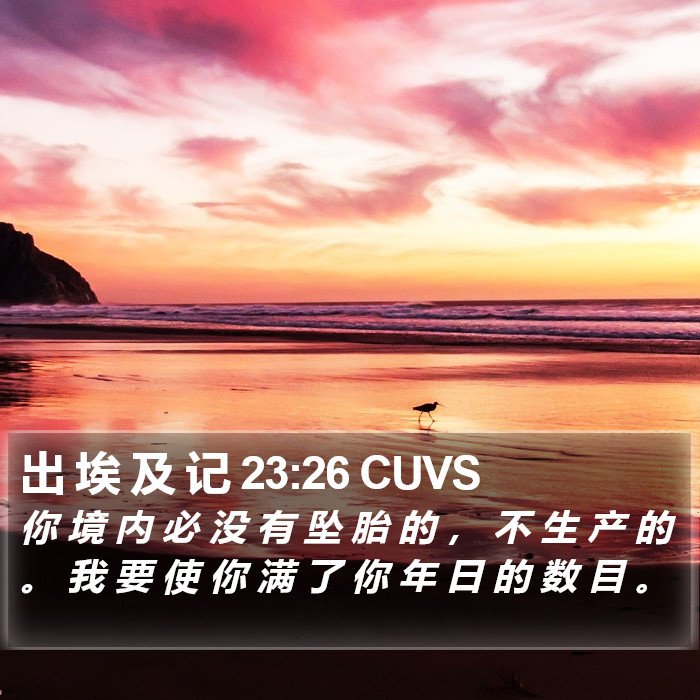 出 埃 及 记 23:26 CUVS Bible Study