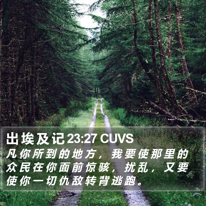 出 埃 及 记 23:27 CUVS Bible Study