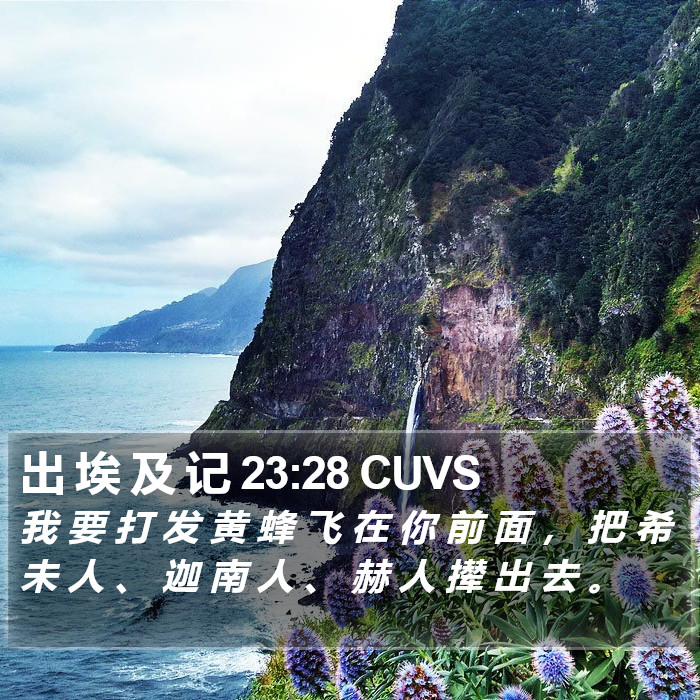 出 埃 及 记 23:28 CUVS Bible Study