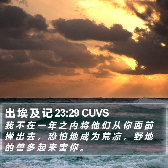 出 埃 及 记 23:29 CUVS Bible Study