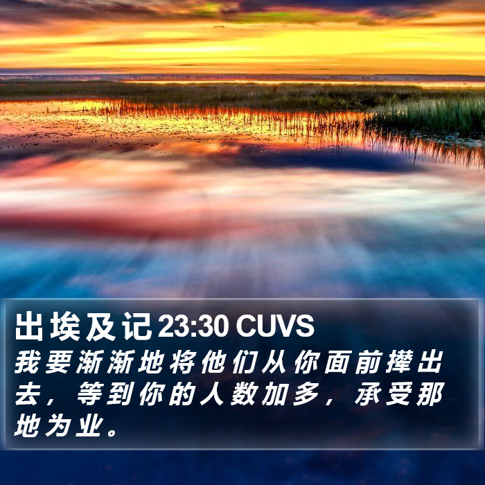 出 埃 及 记 23:30 CUVS Bible Study