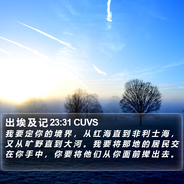 出 埃 及 记 23:31 CUVS Bible Study