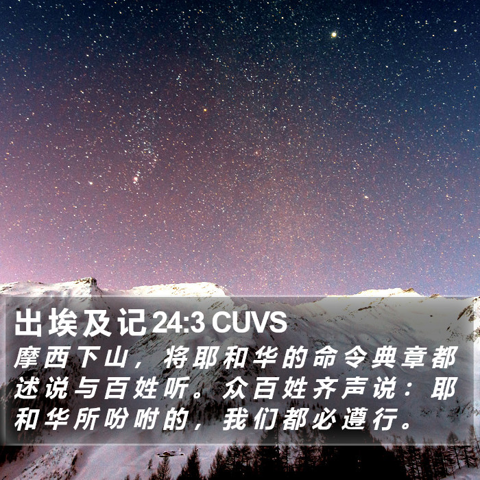 出 埃 及 记 24:3 CUVS Bible Study